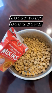 Stella & Chewys Maries Dog Wet Food | Mix-Ins Stews & Broth Topper - 12 Types