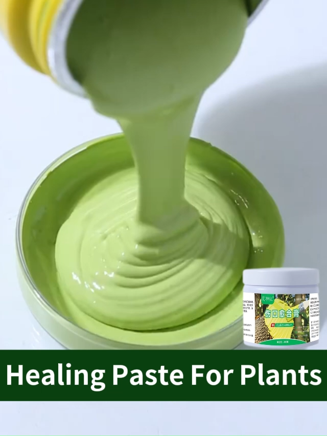 healing paste for plants For Bonsai Modeling Pruning Grafting For Home Garden Plants healing cream for plants wood paste for grafting plant healing sealant bonsai healing paste tree wound sealer grafting paste bonsai cutting paste