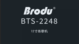 BTS-2248 3600mAh Brodu Series 12-inch Portable RGB Light Wireless Bluetooth Speaker