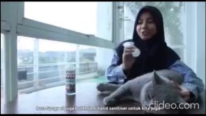 SUPERCAT Jusz Spray 150ML Anti Fungus Fleas Mites & Wounds