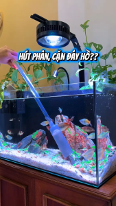Dụng cụ thay nước bể cá bằng tay tiện lợi