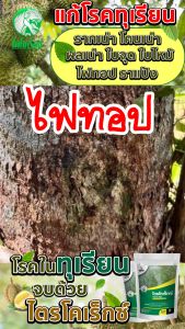 รักษาโรค ในสภาพร่างกายในทุเรียน ให้กับ รักษาโรคพืช รากเน่า และรักษาควบคุมเงินเรื่องการ