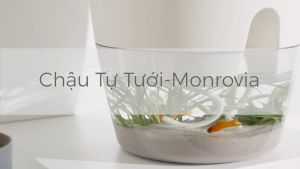 Chậu trồng cây tự tưới thông minh MONROVIA size Lớn cho hoa cây cảnh bonsai để bàn ban công Tiêu Chuẩn Châu Âu