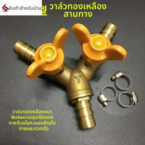 FEIZHUXIANSEN | One In Two Out Gas Pressure Reducing Valve Connector