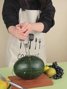 Stainless Steel Multi-use Watermelon Slicer