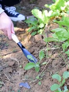 Marino เสียมกึ่งมีด สำหรับขุดดิน ขุดหญ้า พลั่วพรวนดิน 2 ชิ้น สำหรับการซื้อ 2 ชิ้น (ชุด 2 บรรจุภัณฑ์)