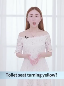 [Next Day ]  Toilet Seat Cover / Quick Release / Silent Slow-Close / Extra Thickness / Durable马桶盖