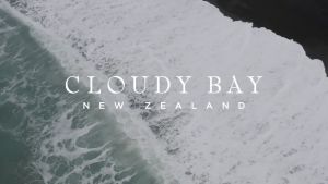 Cloudy Bay Sauvignon Blanc White Wine 2025  abv 13.5  750ml Marlborough by Benchmark Wines