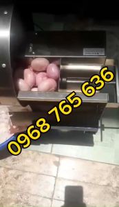 Máy thái hành phi tỏi phi siêu nhanh 40-50kg/h - Máy thái hành chạy điện