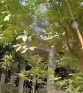 Liềm cong cắt cây đa năng chuyên cắt cành cao chặt chuối vạt cỏ sắc bén thép Mangan