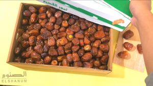 Kurma Sukari Al Qassim 3kg / Kurma Sukari Al Madinah / Kurma Sukari Basah /ALELAL STORE
