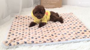 เบาะสัตว์เลี้ยง pet cushion ผ้าห่มสัตว์เลี้ยง เบาะนอนสำหรับสัตว์เลี้ยง เบาะนุ่มแมว สุนัข ผ้าห่มแมว เบาะนุ่มแมว สุนัข