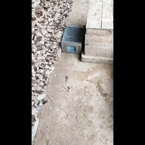 Ultra-Durable Iron Mouse Cage - Cage for Attracting Rats One-Way Door Design In-Out Only Silvery