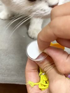 its 🛒  Cat Teaser ของเล่นแมว ไม้ตกแมว ไม้ตกแมวแบบเชือก ไม้ล่อแมวยางยืด ของเล่นแมวติดผนัง