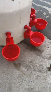 Combo 10 Máng Uống+1 Mũi Khoan Cho Gia Cầm Tự Động Chảy Cho Gà Vịt Ngan Gia Cầm Uống Nước Tiết Kịêm Chi Phí Thời Gian