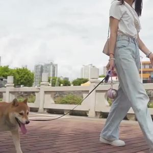 Pet Stainless Steel Foldable Spherical Water Bottle Portable Dog Bowl Suitable for Outdoor Use