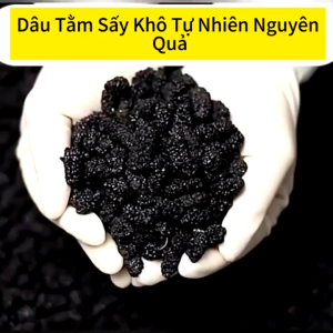 Buy 1 Take 1 - 3F Food Soft - Dried Mulberry 100G - 500G Organic Sugar Free BLACK MULBERRIES