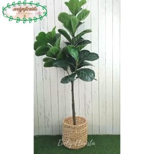 Pohon Artificial Hias Ketapang X3 T140 Pot Dasar Cover Eceng Gondok Dekorasi Caffe