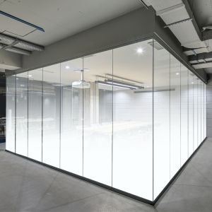 GANI | Decorative Frosted Glass Film One-way Two-way Office Partition