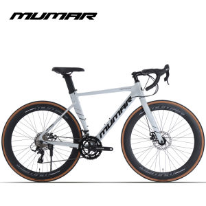Drop Bar Aluminum Alloy Ultralight Aero Shifting Disc Road Bike 700C