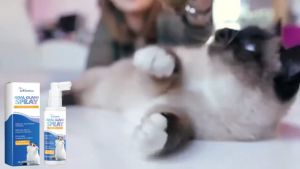 COD💕 แมวต่อมก้นสเปรย์กำจัดกลิ่นสดชื่นและกำจัดกลิ่นสเปรย์ทำความสะอาดแมวหลังถ่ายอุจจาระ