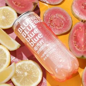 Low Calorie Zero Fat Refreshing Sparkling Juice 6 Bottles
