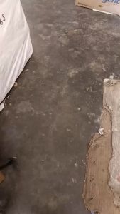 INSEKTISIDA VENOS 500 ML PEMBASMI HAMA TANAMAN