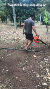 MÁY THỔI LÁ CHẠY XĂNG CÔNG SUẤT LỚN – THỔI SIÊU MẠNH DỌN SẠCH LÁ CHỈ TRONG VÀI GIÂY