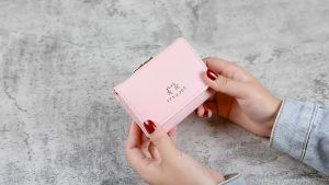 Korean Style Womens Wallet Dompet Wanita 女款钱包 韩系钱包 卡包