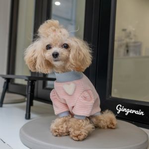 Gingerain Cotton Sweatshirt Style Pet Clothes for Small Dogs Maltese Maltese Teddy Warm Plush Feeling Overhead Hooded