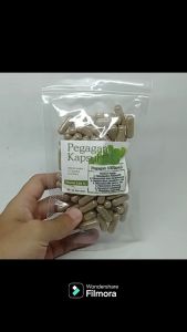 Daun Pegagan 100 Kapsul