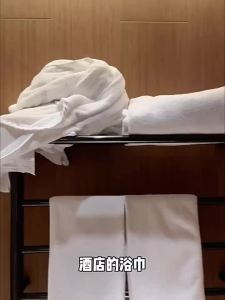 AMORTALS | Travel Portable Dry & Wet Dual Use Towel