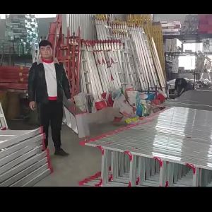 MOLORE | Home And Engineering Telescopic Folding Ladder