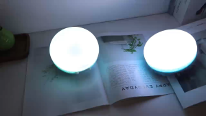 800W Solar Light Emergency Lights Rechargeable Camping Light Night Light Waterproof Light