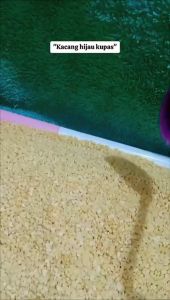 Kacang Hijau Kupas Premium 1 kg Murni 100 % & Kwalitas Super