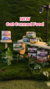 [Trial Bag] Holuah! Gravy Cat Wet Food | Human-Grade Tuna Recipes in Tender Chunks (10 cans x 80g)