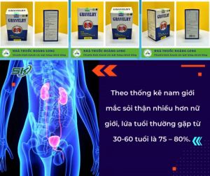 Hỗ trợ điều trị sỏi thận sỏi mật sỏi tiết niệu bàng quang gravelry - Hộp 30 viên