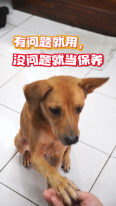 Awesomely Raw Pet Supplement for Dog & Cat Itchy Skin Allergy Relief and Probiotic Immune Booster