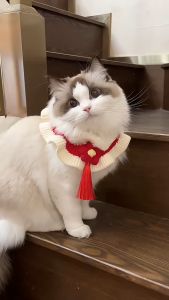 Pet CNY Collar Adjustable Dog Cat Collar Lion Dance Cute Scarf Bell Neck Strap Knitted Cloth DD CAT & PET