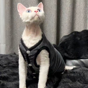 Thickened Fleece Warmth Cat Vest for Winter Autumn Cold Protection Dehui Hairless Cat Clothes Absence of Hair Coat for Kittens
