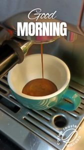 [WANAKA COFFEE] Morning Star Espresso Blend I Medium-Dark Roast I Freshly Roasted I Arabica Coffee