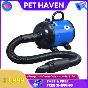 ดูดได้เป่าได้ ความซับซ้อน 2800W เครื่องเป่าขนหมา เครื่องเป่าขนแมว เป่าขนสุนัข ที่เป่าขนสุนัข ไดร์เป่าขนแมว เสียงเงียบ ลมแรง เป่าร้อนเย็น ไ