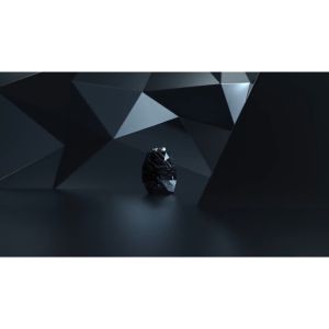 Combo Kính Bơi Mũ Bơi kèm bộ bịt tai mũi dành cho cả nam và nữ CINDY