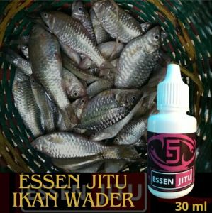 Essen jitu ikan wader paling gacor sungai alam liar/khusus nilem wader 30 ml