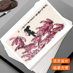 Qi Baishi Art Copying Card Set Comprehensive Training Teaching Full Set 40 Pieces for Beginners Calligraphy Painting Learning Kit