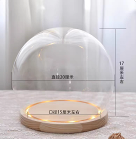 Glass Dome Display Box for Figurines Dustproof Storage Cylinder Shape Blind Box Prince Small Wild Rose Atmosphere Light