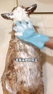 Silicone Dishwashing Gloves Heat Resistant Pet Grooming Rubber Scrubbing Gloves with High-Density Teeth Silicone Bathing and Massaging Brush for Housework Cars Dogs