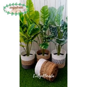 Pohon Plastik Musa Florida X18 Semi Latex Artificial Pot Dasar Cover Seagrass Pajangan Rumah Aesthetic Dekorasi Ruang Tamu