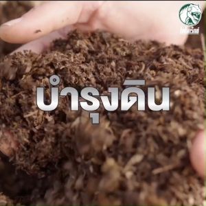 เคล็ดลับ ดินสมบูรณ์ ทาร์โบฮิวมิก ฮิวมิกผง โพแทสเซียมฮิวเมต100%  เพิ่มประสิทธิภาพพืช กระตุ้นระบบราก ฟื้นต้นโทรม ใช้รองพื้น รองก้นหลุม ผสมปุ๋ย ราดรด ฉีดพ่น พืชโตไว ( ขนาด 1 กิโลกรัม)