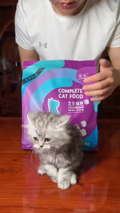 Freeze-dried cat food cold-pressed highly nutritious complete cat food for all stages of cat high-nutrition dry cat food.